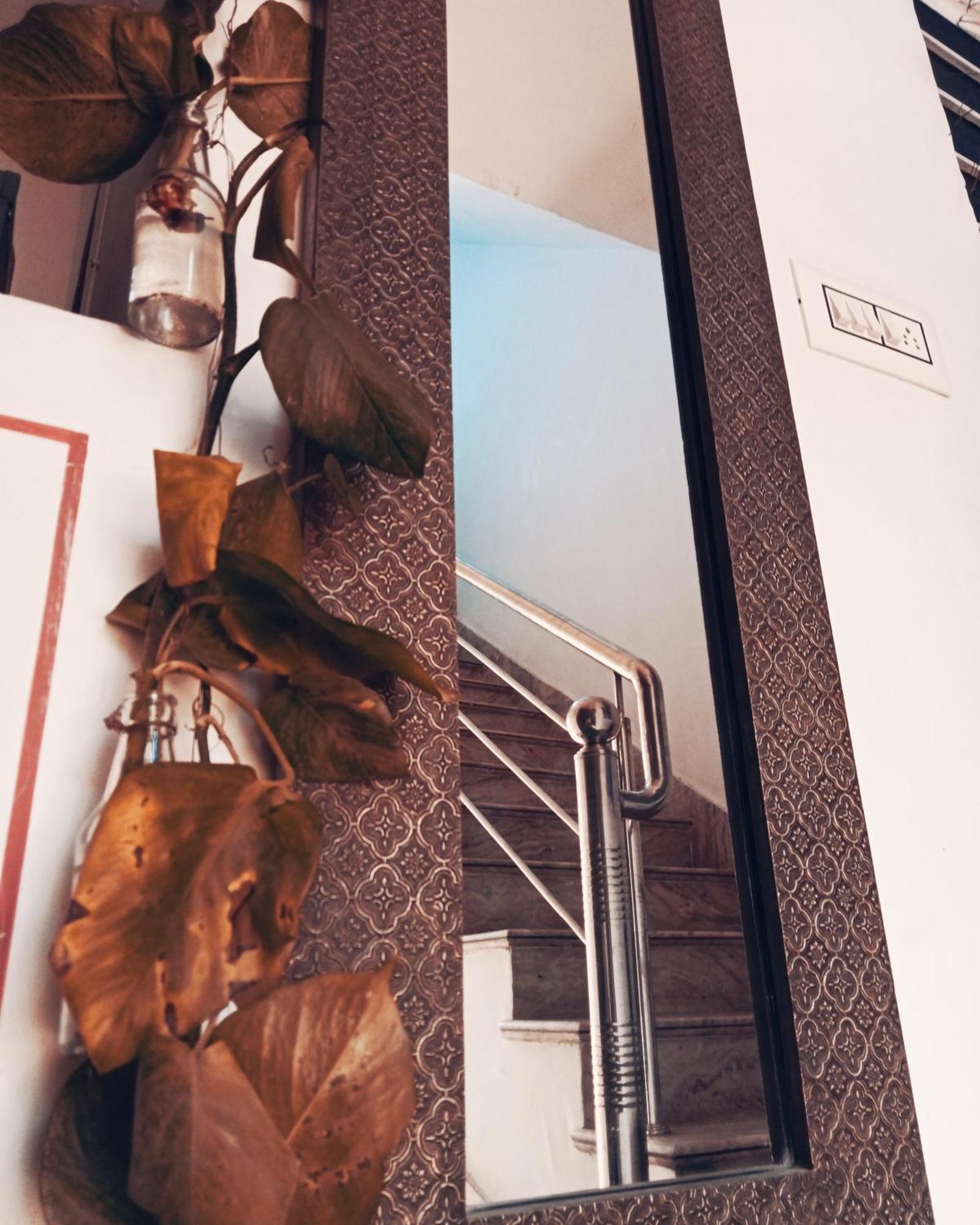 Cocoon Auberge Džajpur Exteriér fotografie